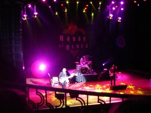 wallflowers-hob