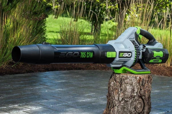 6 Fall Yard Cleanup Essentials That Actually Work: A Man's Guide to Conquering Leaves Like a Pro