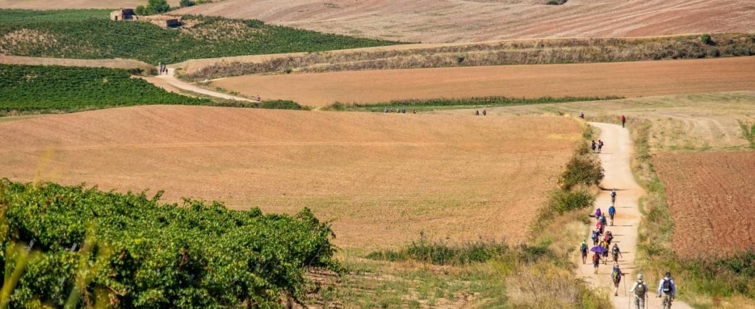 The Ultimate Solo Male Adventure: Walking the Camino de Santiago