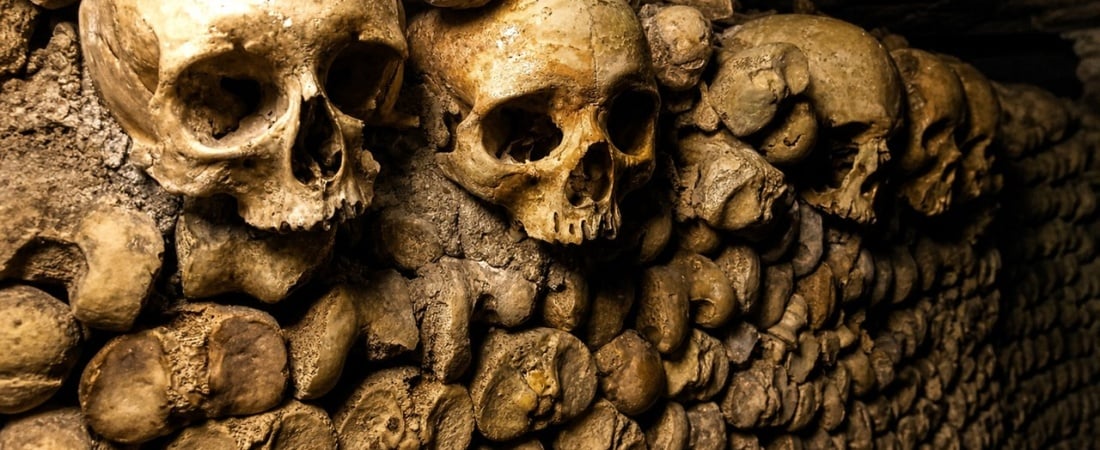 Paris Catacombs: What Guys Need to Know Before You Go : Updated After 2026 Reopening