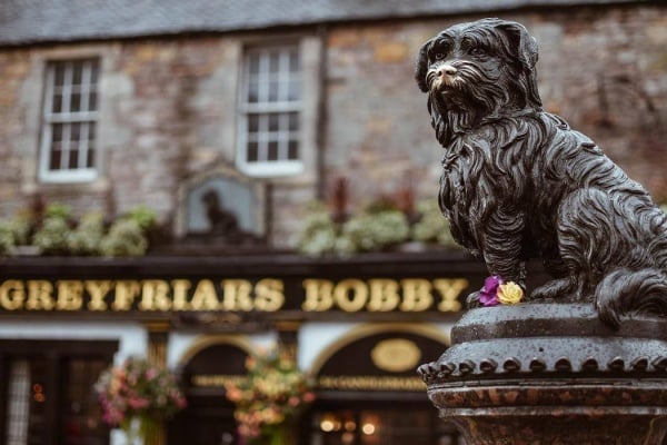 10 Best European Cities for Single Guys Traveling Solo in 2026