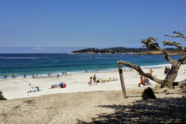 Seven Reasons Men Should Visit Carmel California for a Guys Weekend