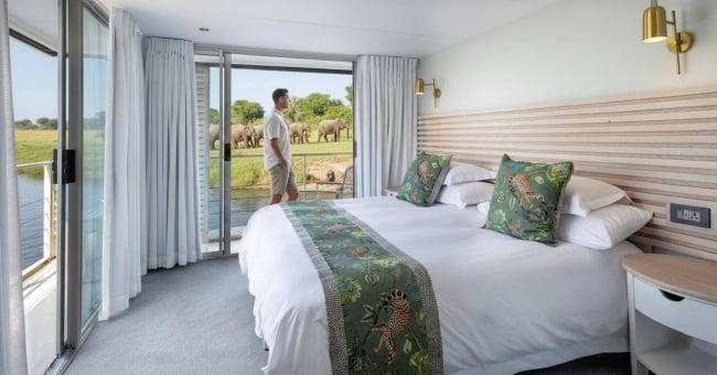 7 Best River Cruise Destinations for Bucket List Wildlife Encounters