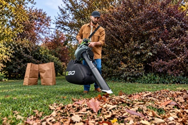 Fall Yard Gear: 11 Picks Taking Care Of Leafs, Branches, and Lawn Cleanup Before Winter