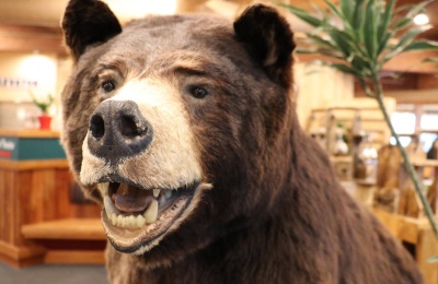 What I Am Most Excited About In Alaska