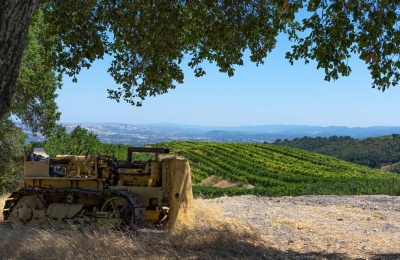 Interview With Matthew Goldman About Supporting Wineries And Hospitality Businesses