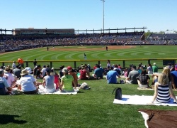 Things Your Need to Know to Make Cactus League Spring Training Awesome