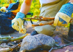Ways To Make Sure Your Camping Trip Is A Sustainable Adventure