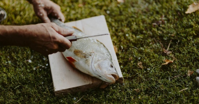 From Scottish Highlands to Cornish Coast: Seven Spots To Visit For UK Fishing Trip With The Boys