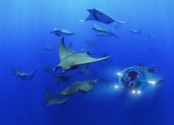 U-Boat Worx Super Sub Will Let You Cruise Underwater With Sharks And Dolphins