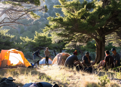Epic Guys Weekend Camping Adventures: From Oceanfront Campsites to Mountain Wilderness