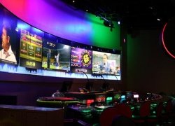 Bachelor Party Planning Basics - Here's What You Need to Know