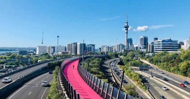 New Zealand's Adrenaline Capital: Epic Auckland Adventures for Thrill-Seeking Groups Of Guys
