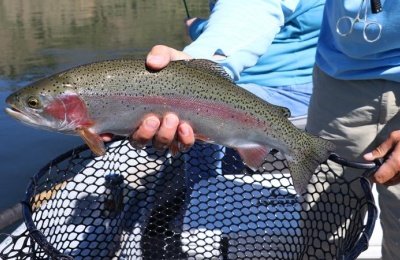 How To be a More Responsible Fisherman When You Travel