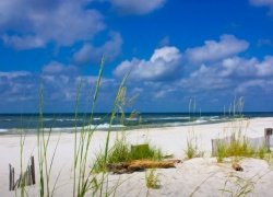 Gulf Shores Alabama Golf Guys Weekend