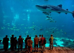 Father and Son Weekend Trip Ideas in Atlanta
