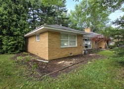 Spring Yard Care Tips To Get Your Home Ready For Summer Grilling Season