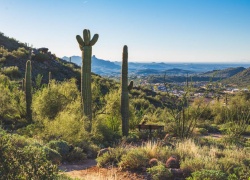 Top Outdoor Adventure Activities in Phoenix Besides Golf