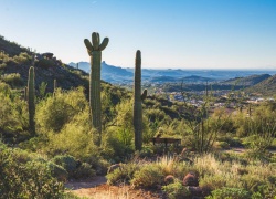 Outdoor Adventure Guys Weekend Activities in Phoenix Besides Golf