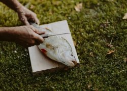 From Scottish Highlands to Cornish Coast: Seven Spots To Visit For UK Fishing Trip With The Boys
