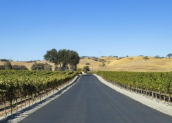 Paso Robles Guys Weekend