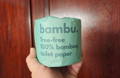 Bamboo Toilet Paper, Bidets and More Ways That Men Can Make Pooping More Eco Friendly