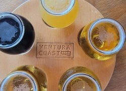 Craft Beer vs Domestic Beer in The United States: What's the Difference?