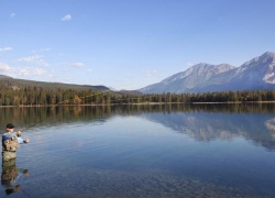 Top Trout Fishing Spots in North America for a Serious Fishing Mancation