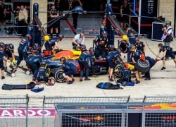 8 World-Class Events To Plan Your Miami Sports Mancation Around in 2026