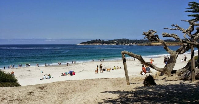 Seven Reasons Men Should Visit Carmel California for a Guys Weekend