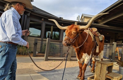 Five Cities in the Dallas Metroplex to Visit on a Guys Weekend Staycation
