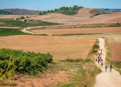 The Ultimate Solo Male Adventure: Walking the Camino de Santiago