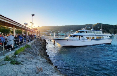 Catalina Express Is A Short Boat Ride That Takes You A World Away