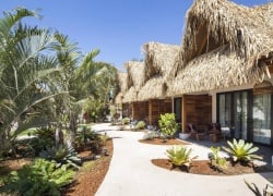 The Gilded Iguana Surf Hotel: Surfing, Adventure and Food in Nosara, Costa Rica
