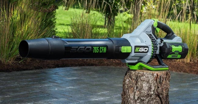 6 Fall Yard Cleanup Essentials That Actually Work: A Man's Guide to Conquering Leaves Like a Pro