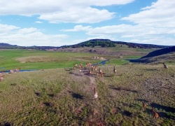 Brazos River Lodge: An Outdoorsman Retreat in New Mexico