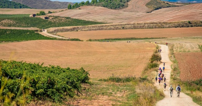 The Ultimate Solo Male Adventure: Walking the Camino de Santiago
