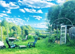 Ways to Upgrade Your Backyard And Make It More Fun and Attractive 