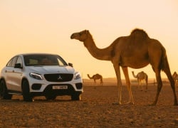 Transportation Guide For A Dubai Guys Trip: How To Get Around Dubai Safely and In Style