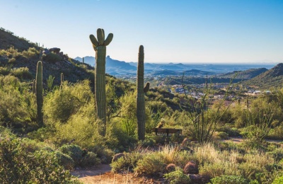 Top Outdoor Adventure Activities in Phoenix Besides Golf