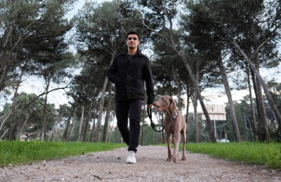 Ways That You Can Improve Your Pet's Quality Of Life