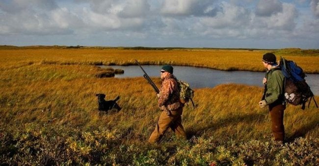 How to Prepare for Your Hunting Dog For His First Hunt 