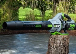 6 Fall Yard Cleanup Essentials That Actually Work: A Man's Guide to Conquering Leaves Like a Pro