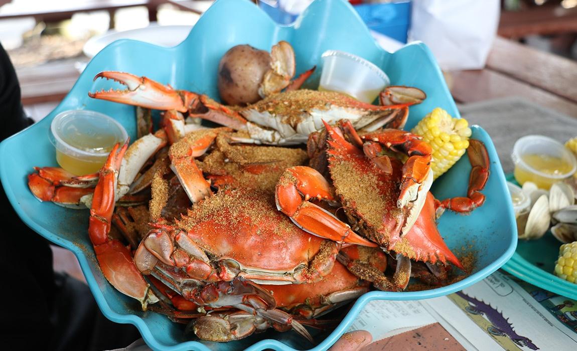 How to Eat Blue Crabs and Not Miss and Ounce of Meat! 