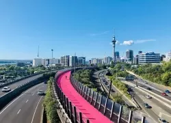 New Zealand's Adrenaline Capital: Epic Auckland Adventures for Thrill-Seeking Groups Of Guys