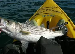 6 New York Bass Fishing Destinations That Belong on Your Guys Trip Shortlist