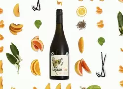 Loveblock Introduces A New Perspective On New Zealand Sauvignon Blanc