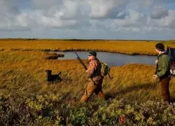 How to Prepare for Your Hunting Dog For His First Hunt 
