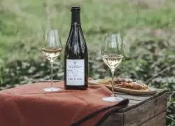 From Champagne to Cava: A Man's Guide to Exploring Sparkling Wine