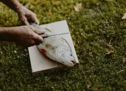 From Scottish Highlands to Cornish Coast: Seven Spots To Visit For UK Fishing Trip With The Boys